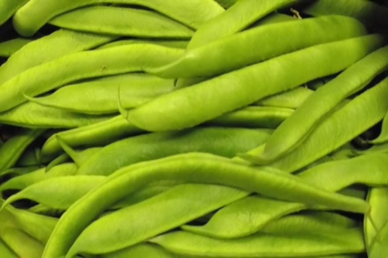 Eng.Stick Beans The Veg Factor Ltd