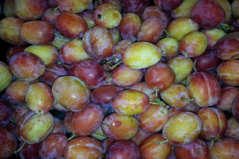 English Victoria Plums The Veg Factor Ltd