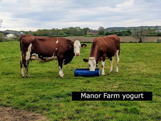 Manor Farm Yogurt